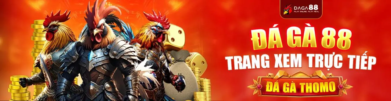 Đá Gà Trực Tuyến Hấp Dẫn tại xn888 login